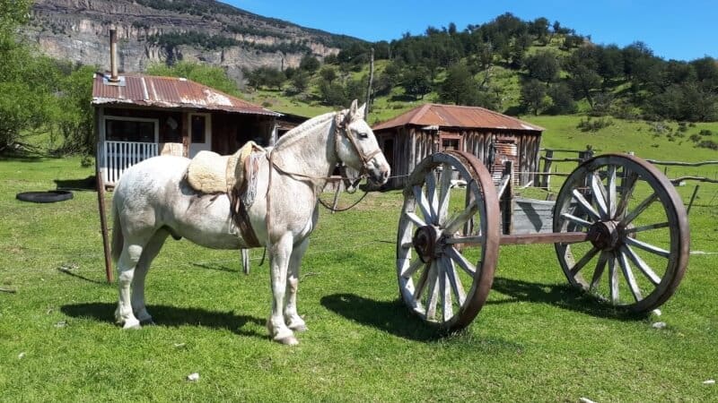 Estancias-Patagónicas-en-Santa-Cruz