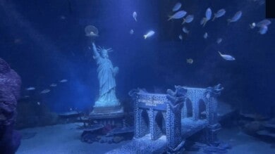 Nueva York inauguró 'SEA LIFE Aquarium de Nueva Jersey', un nuevo e insólito acuario que recrea a la ciudad bajo el agua-2