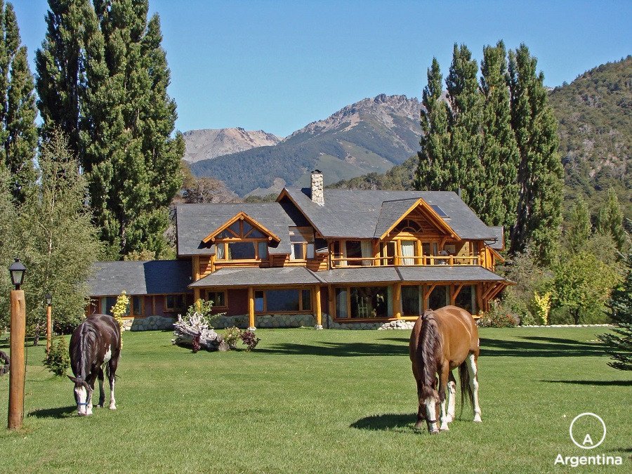 Caballos pastando en Estancia Peuma Hue