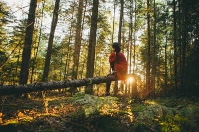 Baños de bosque, un modo distinto de viajar que busca conectar con la naturaleza