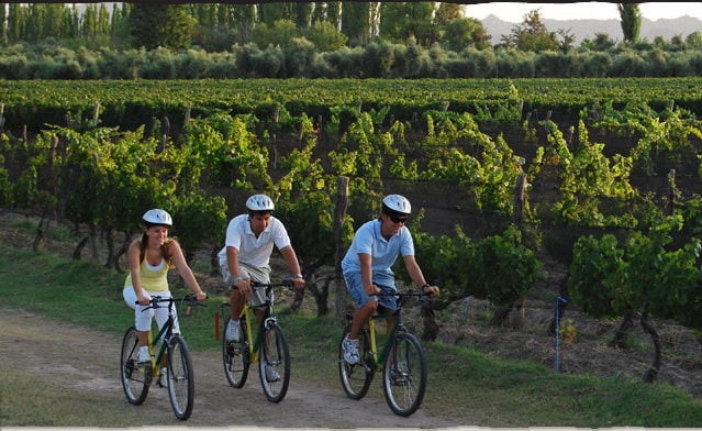 image Recorrer los viñedos de Mendoza en bicicleta bodegas de mendoza en bicicleta 1