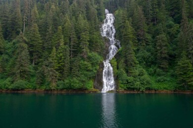 Un importante bosque nacional de Estados Unidos, ubicado en Alaska, volverá a ser protegido por las autoridades