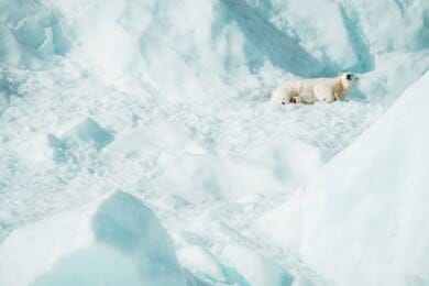 El Círculo Ártico alcanzó los 48°C en el primer día del verano boreal