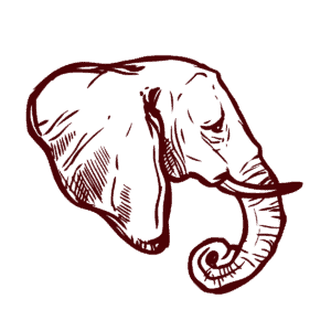 dibujo de elefante