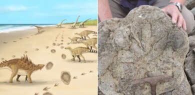 En Inglaterra encontraron las huellas fosilizadas de los últimos dinosaurios que caminaron por allí