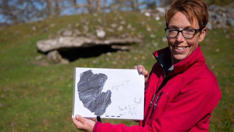 figuras talladas de animales Escocia: un arqueólogo amateur encontró figuras talladas de animales que datan desde hace más de 4.000 años Dibujo de las figuras encontradas
