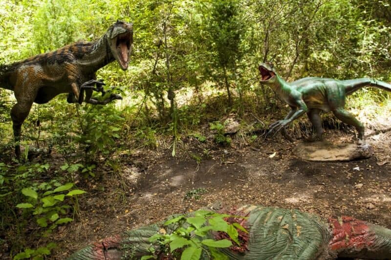 Qué hacer en Bariloche con lluvia: Dinosaurios