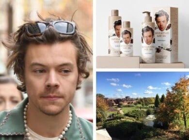 día de spa con temática de Harry Styles