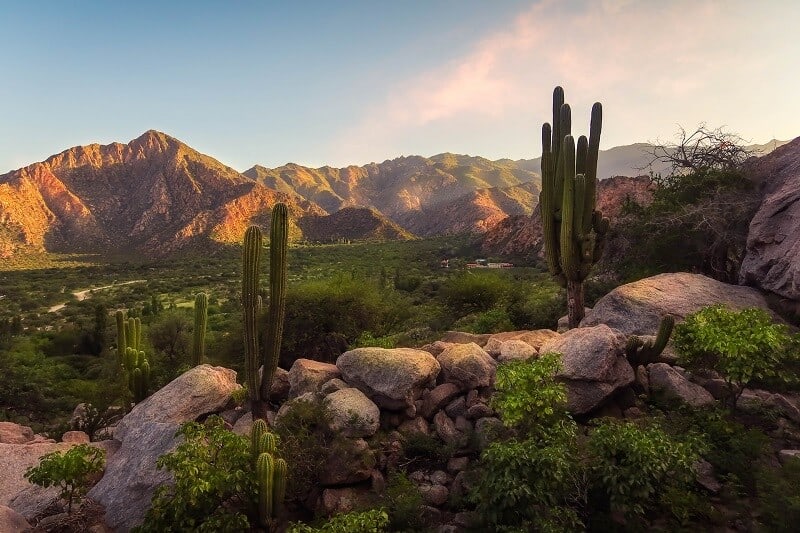 cómo llegar a Cafayate