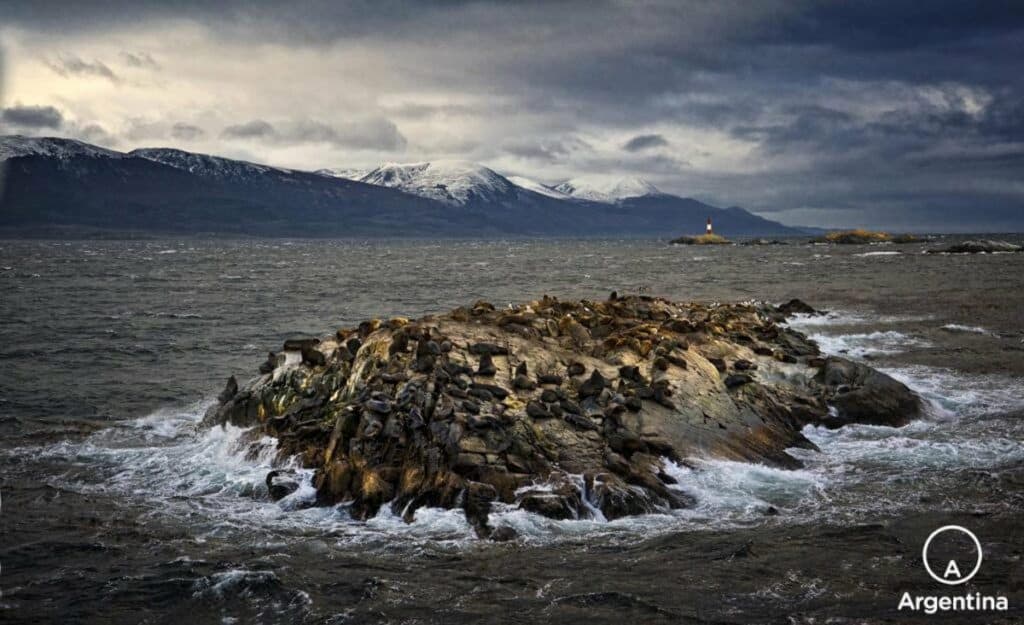 image isla de lobos ushuaia 1