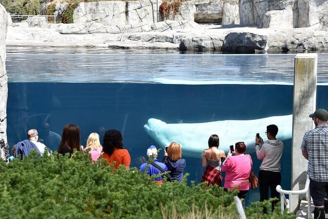 image atractivos turísticos de estados unidos mejores experiencias en estados unidos 11