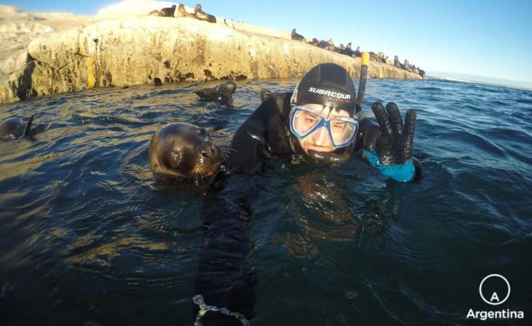 Buceo con lobos marinos en Chubut