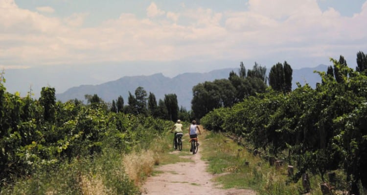 image mejores destinos de Argentina para visitar recorrer vinedos en bicicleta mendoza 1