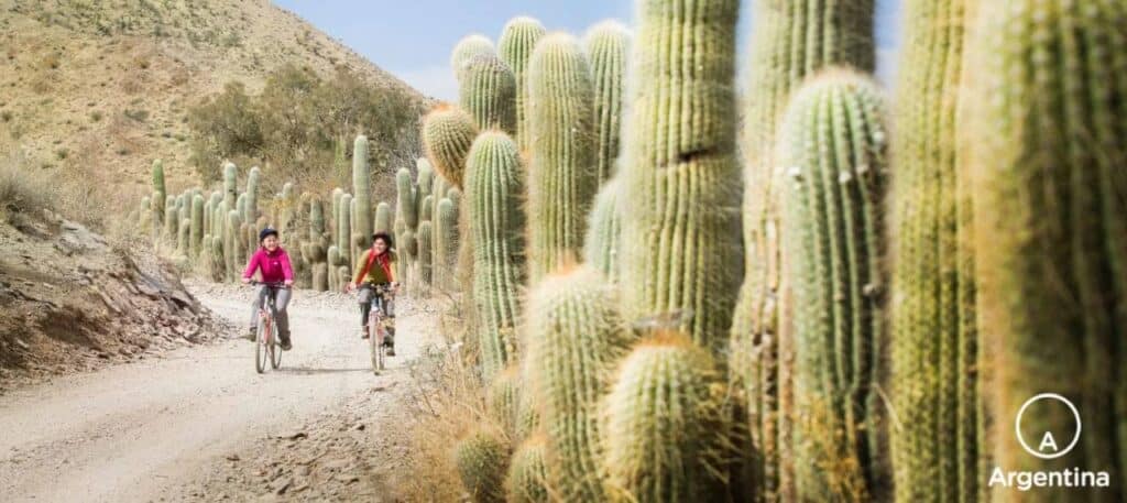 Sur de cafayate