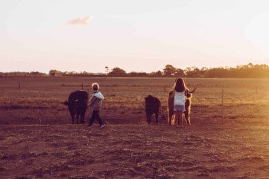 ver-animales-en-Córdoba