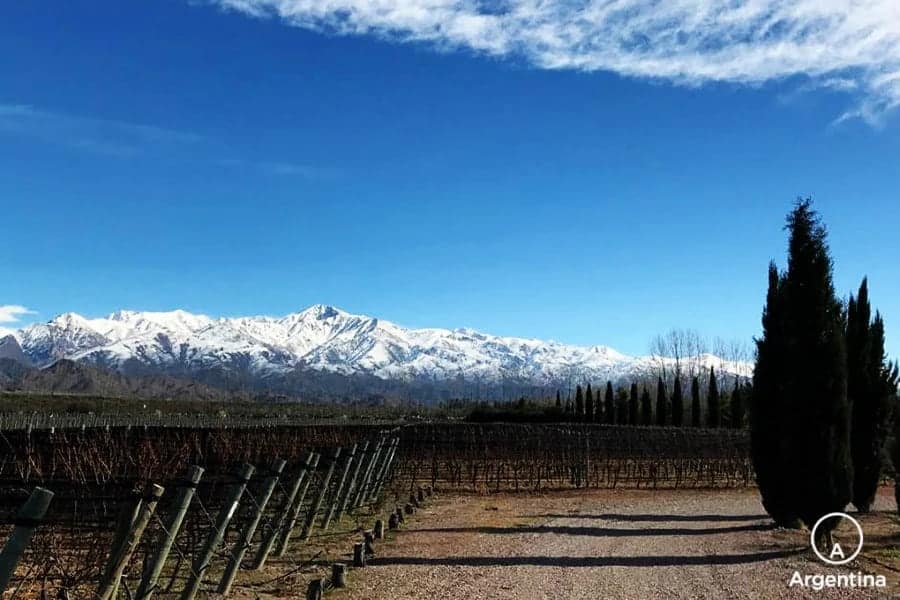 Terraza de los andes