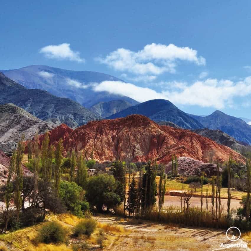 Trekking con llamas en Tilcara