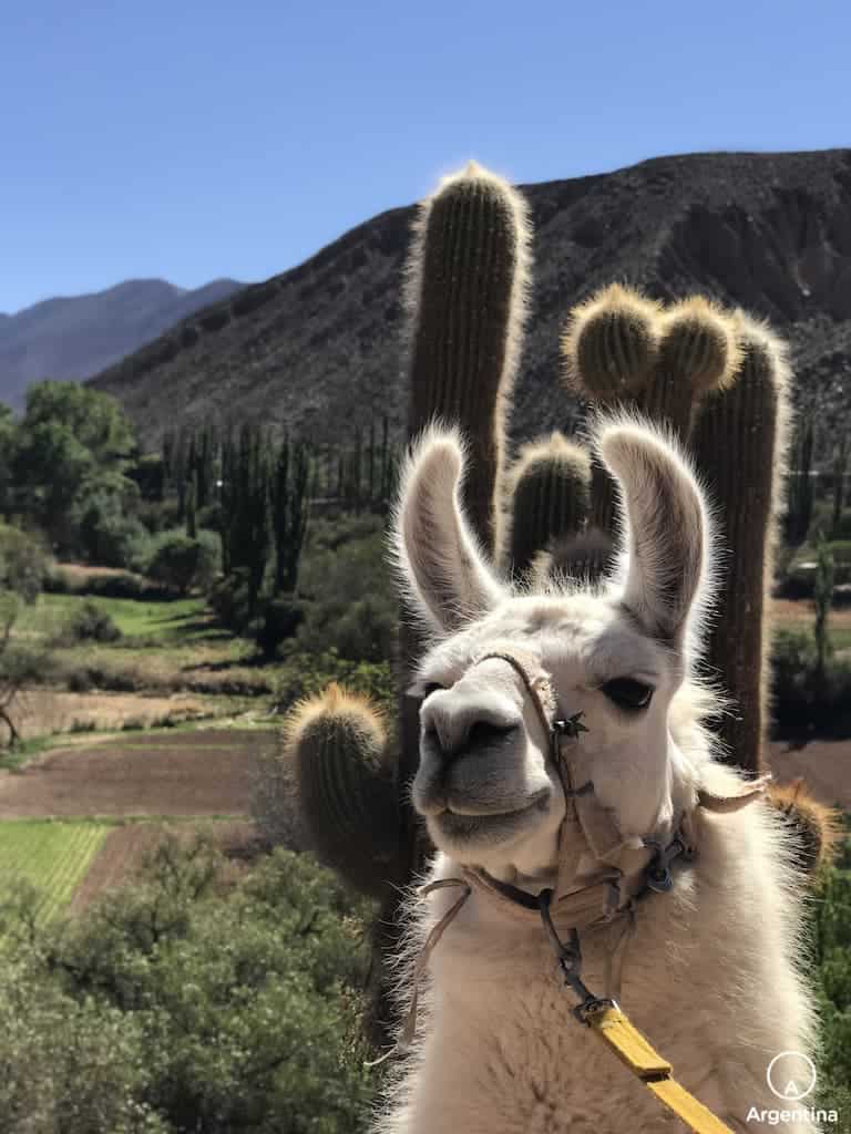 Cómo llegar a la Quebrada de Humahuaca: Tilcara