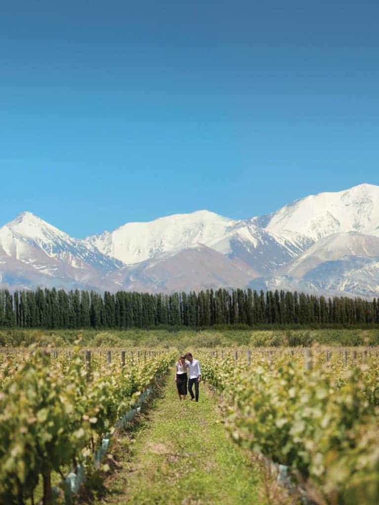 image Recorrer los viñedos de Mendoza en bicicleta tour de bodegas en mendoza en bicicleta 1