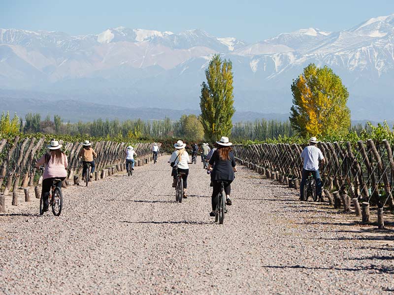 Recorrer los viñedos de Mendoza en bicicleta: una experiencia imperdible para adentrarse en el mundo de la vitivinicultura de forma sostenible