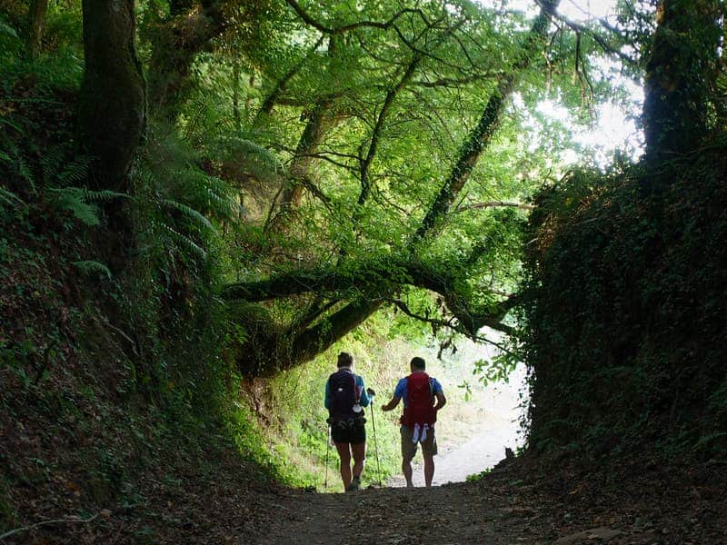 como-recorrer-los-caminos-de-Santiago