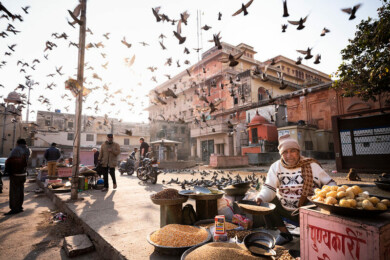 india / vendedor ambulante