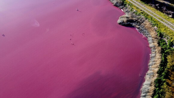 Daniel Fedman / AFP