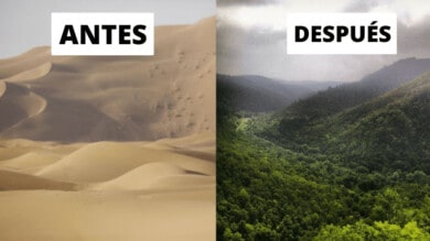 China está convirtiendo sus desiertos en bosques