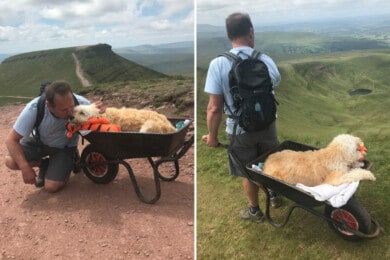 Llevó a su amado perro a su última aventura a través de su ruta favorita