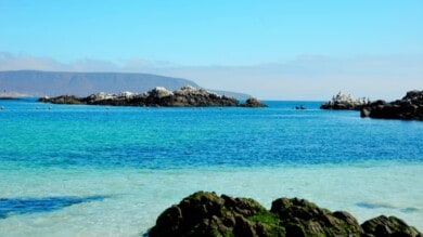 Qué hacer en Bahía Inglesa-mejores playas de Chile en la costa del Desierto de Atacama