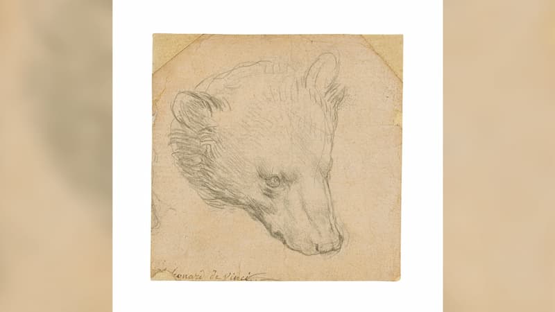 Boceto de Leonardo da Vinci