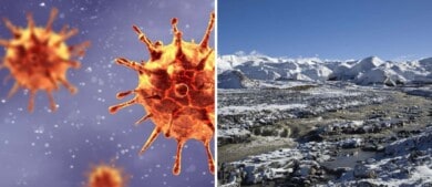 Un grupo de científicos descubrieron virus de hace 15.000 en glaciares de Tíbet