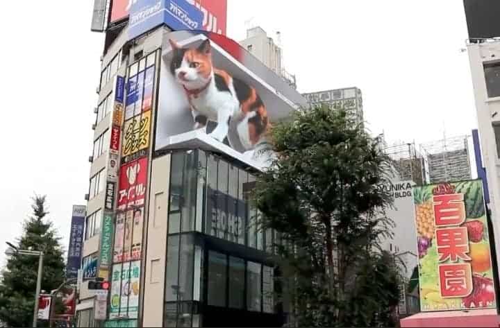 Gato gigante en una publicidad de Tokio