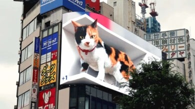 Un gato gigante es el protagonista de la publicidad de las calles de Tokio