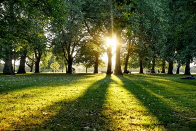 Guía definitiva para Visitar el Hyde Park en Londres