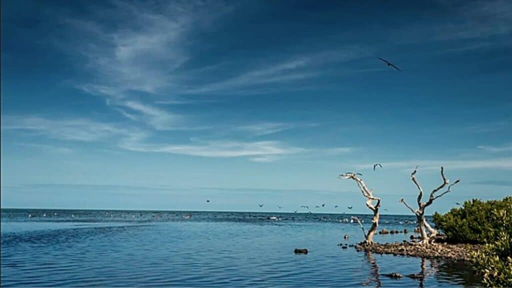 image mejores islas de México para viajeros islas para conocer en mexico