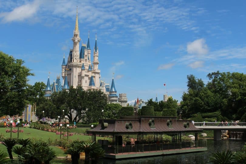 Esta es la razón por la que Walt Disney World paga 30 dólares a cazadores por capturar lagartos en el complejo