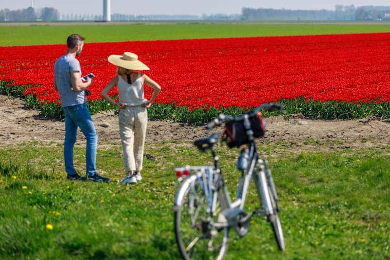 tulipanes-en-Holanda-Cómo-llegar-a-Keukenhof