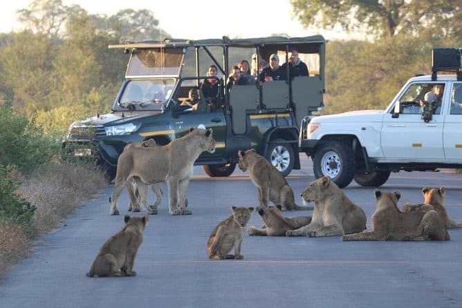 image mejores lugares del mundo parque nacional krueger