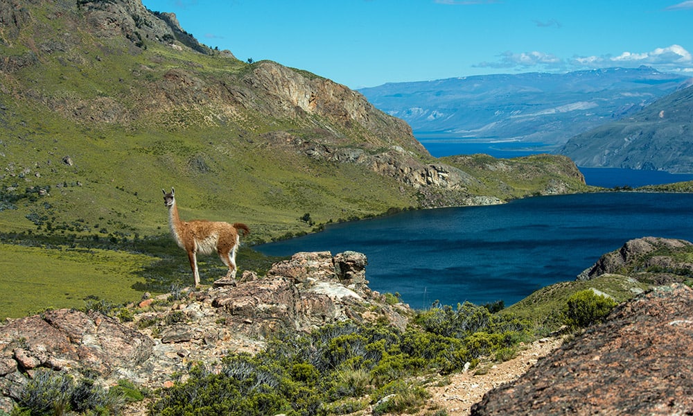 image mejores lugares del mundo parque patagonia