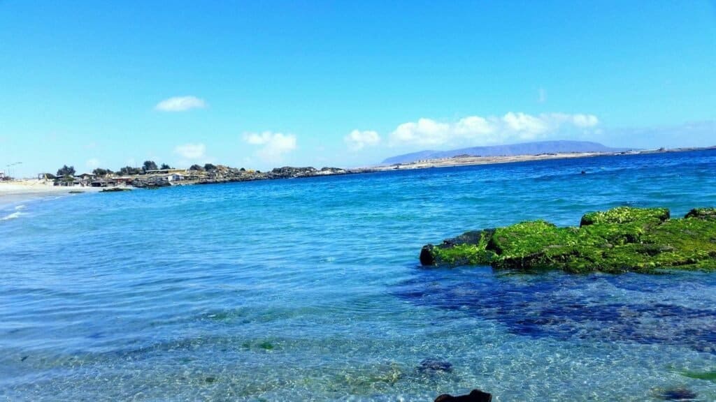 image Qué hacer en Bahía Inglesa que hacer en bahia inglesa playa loreto 3kms 1