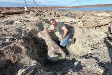 restos-de-un-dinosaurio-gigante-en-argentina-lago-barreales