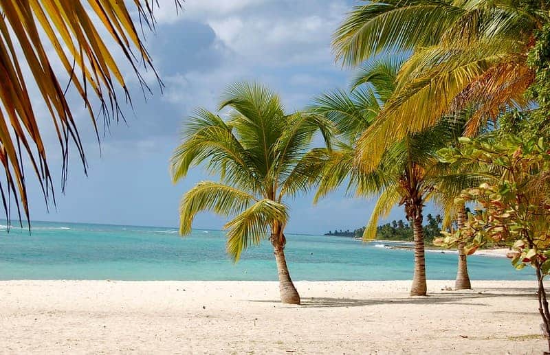 As 12 melhores coisas para ver e fazer em Punta Cana: Visite Isla Saona