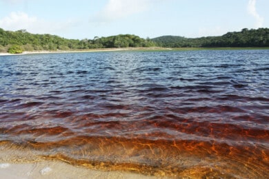  Lagoa Araraquara