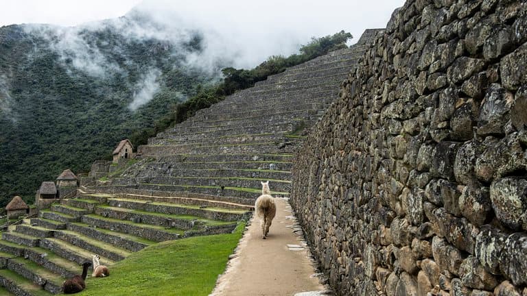 Machu Picchu