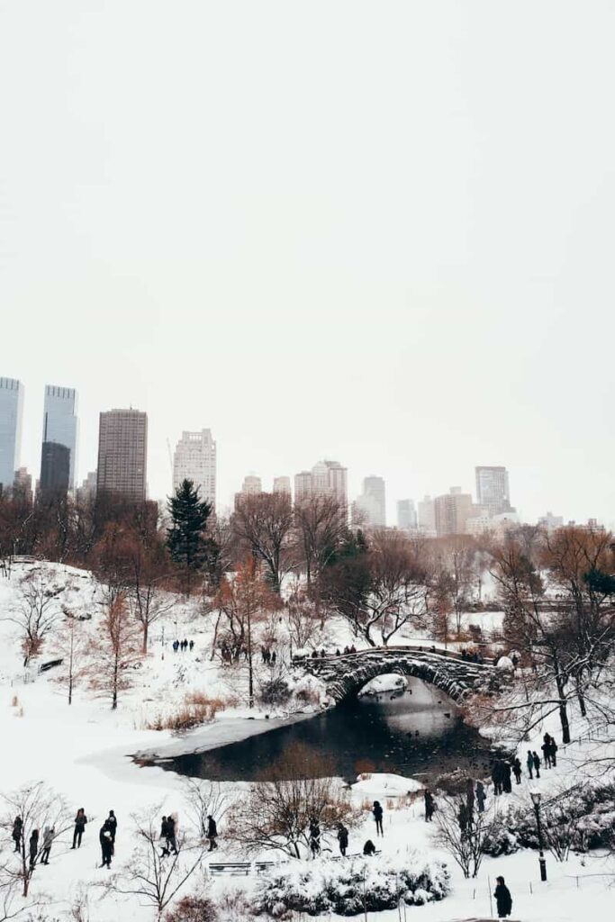 Nueva-York-en-invierno