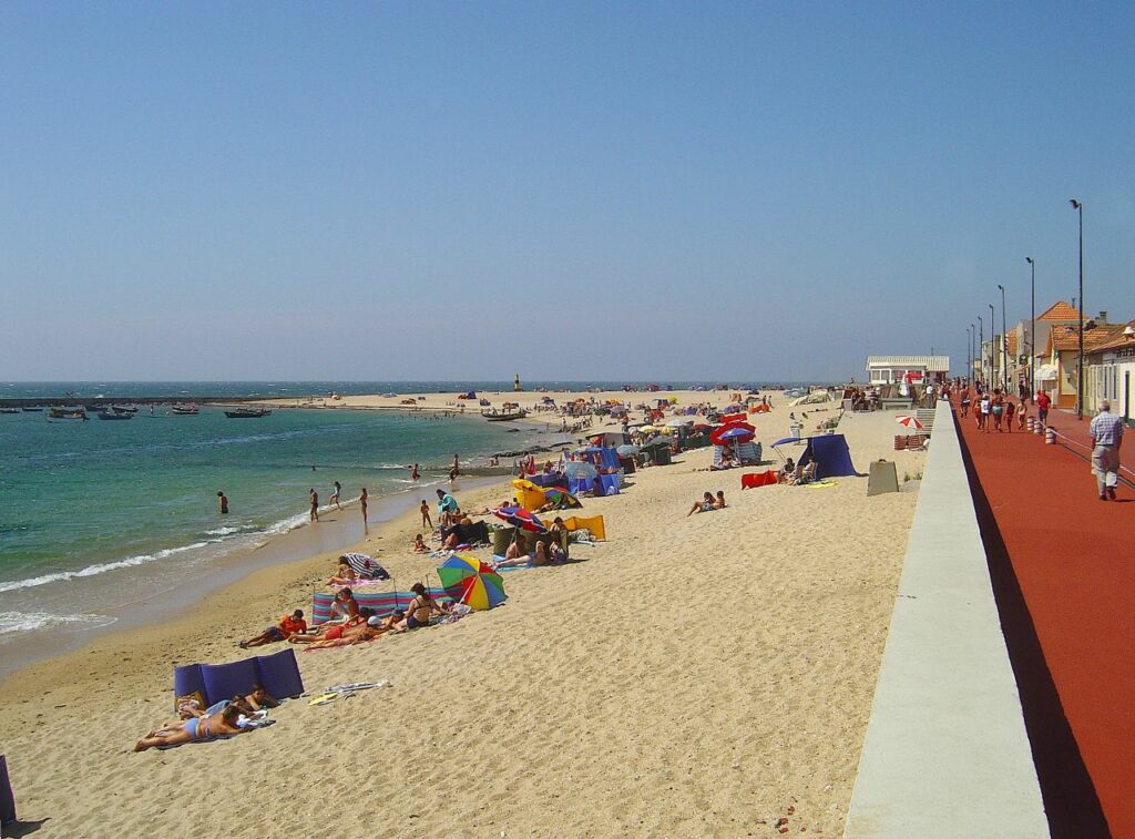 image Mejores Playas de Portugal Praia da Aguda Portugal 199553384