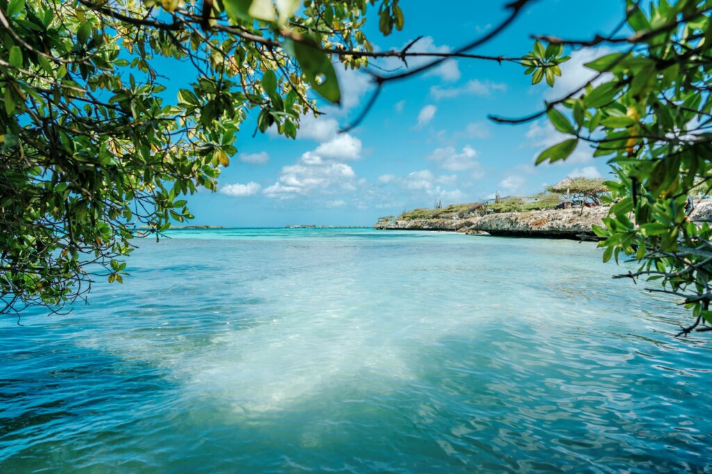 image largest natural reserve of caldenes Que hacer en Aruba 10 cosas que no te puedes perder de la isla mas feliz del Caribe