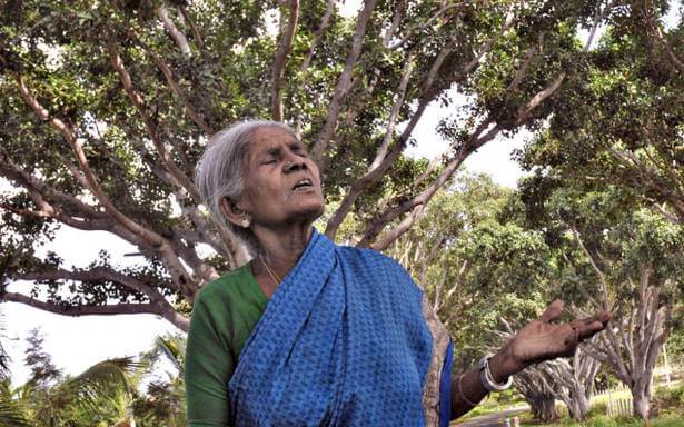 Saalumarada Thimmakka