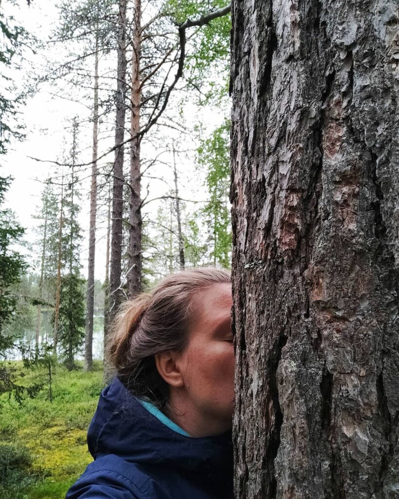 Abraza un árbol 